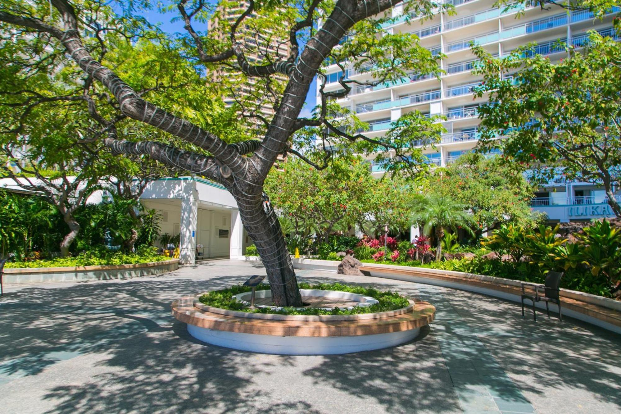 Ilikai Tower 2109 City View 2Br Honolulu Exterior foto